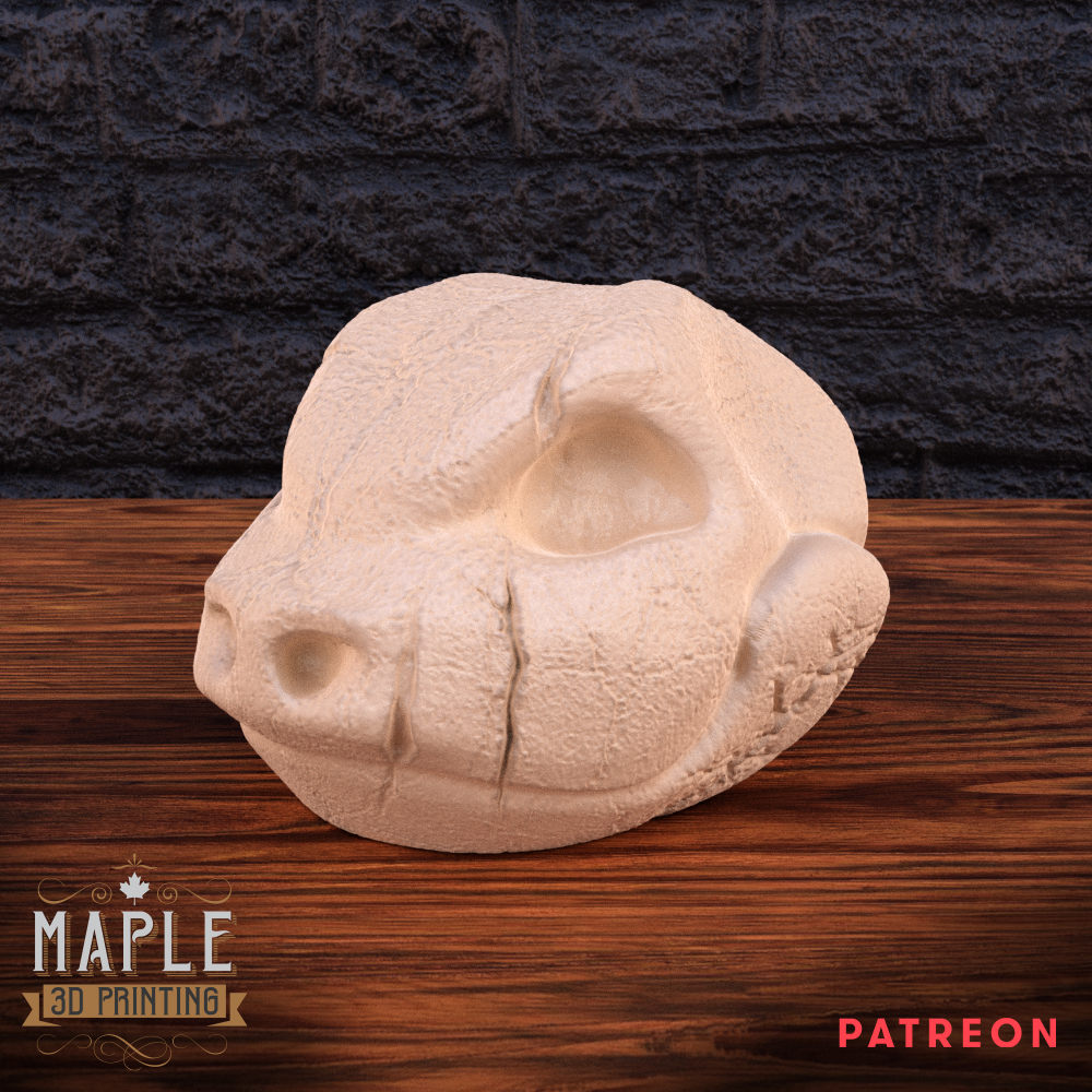 0009. Blastoise Skull