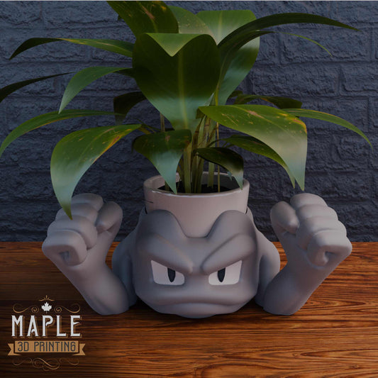 0074. Geodude Planter