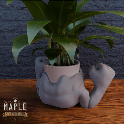 0074. Geodude Planter